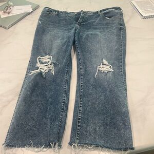 Express boot cut Jeans